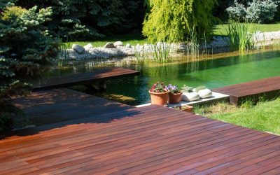 Le bois cumaru : origine, caractéristiques et usages en extérieur