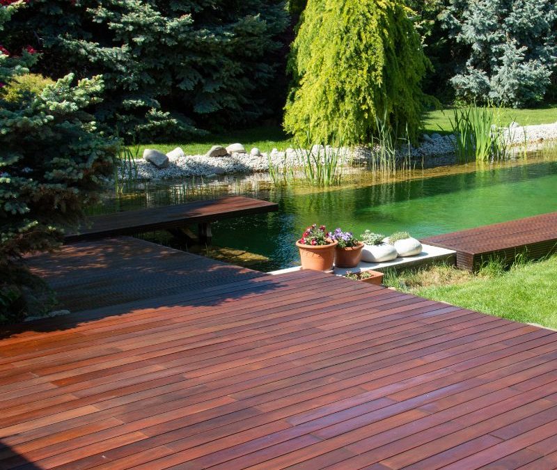 Pourquoi choisir le cumaru pour une terrasse bois exotique durable ?