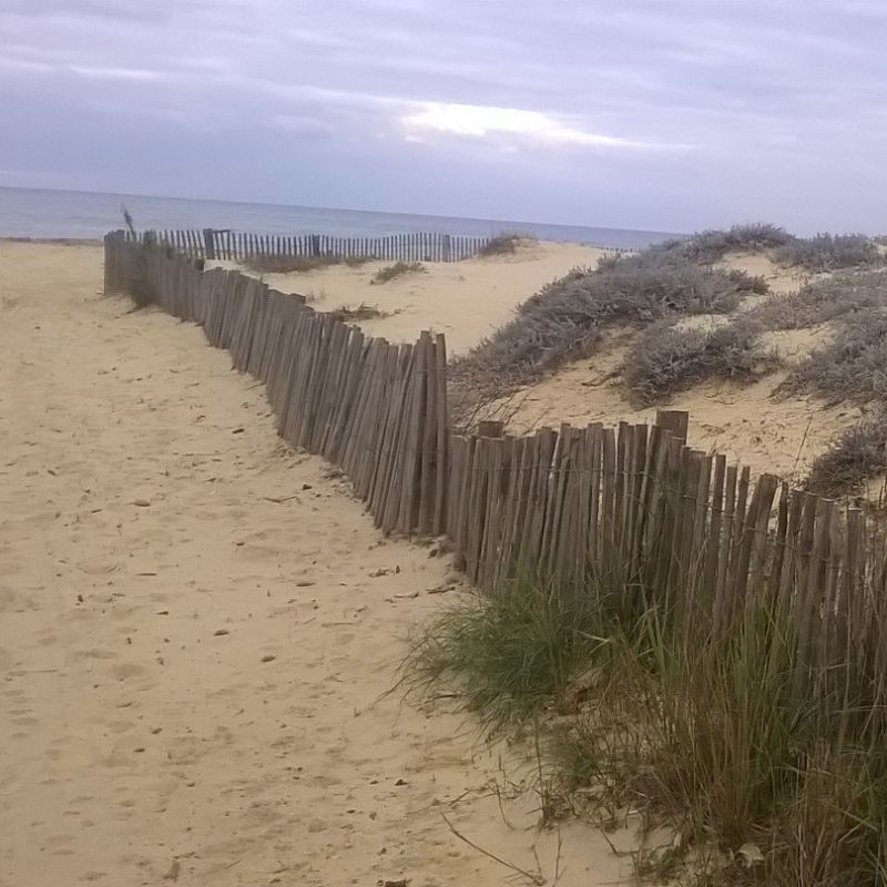 Clôture en rouleau en bois naturel