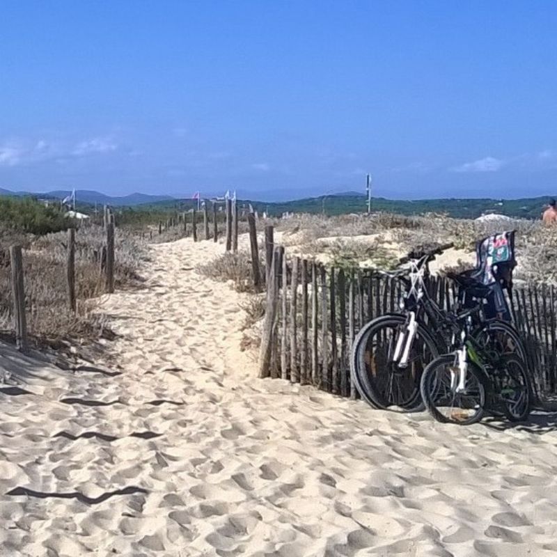 Clôture en bois naturel en rouleau