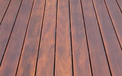Le bois cumaru : origine, caractéristiques et usages en extérieur